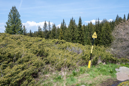 Spring view of Konyarnika area at Vitosha Mountain, Sofia City Region, Bulgariaの写真素材