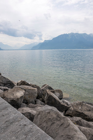 Summer Landscape from town of Vevey to Lake Geneva, Canton of Vaud, Switzerlandの写真素材