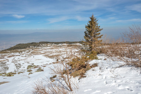 Winter landscape of Vitosha Mountain, Sofia City Region, Bulgariaの写真素材