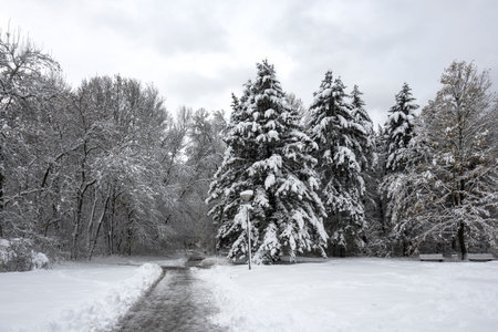 Amazing Winter Landscape of South Park in city of Sofia, Bulgaria
