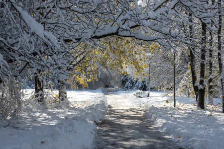 Amazing Winter Landscape of South Park in city of Sofia, Bulgaria