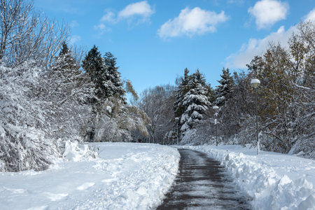 Amazing Winter Landscape of South Park in city of Sofia, Bulgaria