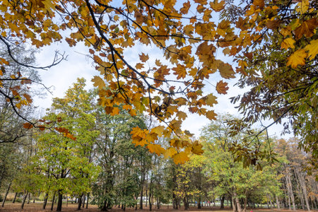 Amazing Autumn view of South Park in city of Sofia, Bulgaria