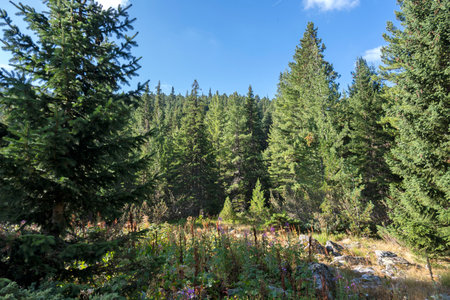 Amazing Landscape of area of Tiha Rila (Quiet Rila), Rila mountain, Bulgaria