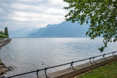 Summer panorama of town of Vevey and Lake Geneva, Canton of Vaud, Switzerlandの写真素材