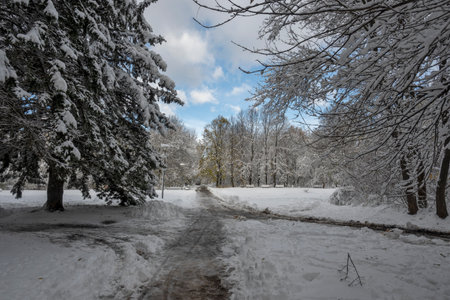 Amazing Winter Landscape of South Park in city of Sofia, Bulgaria