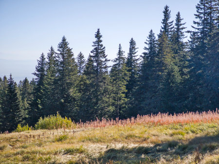 Amazing Autumn panorama of Vitosha Mountain, Bulgariaの写真素材