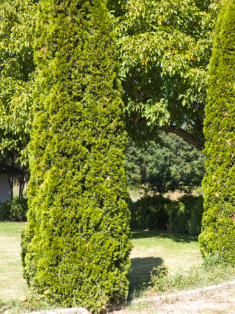 Amazing view of Medieval Sukovo Monastery of Assumption of the Blessed Virgin Mary, Serbiaの写真素材