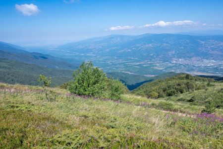 Summer view of Belasitsa Mountain around Kongur peak, Blagoevgrad Region, Bulgariaの写真素材