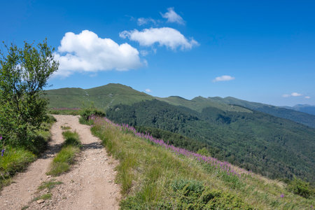 Summer view of Belasitsa Mountain around Kongur peak, Blagoevgrad Region, Bulgariaの写真素材