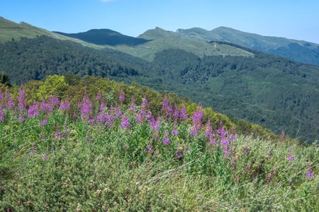 Summer view of Belasitsa Mountain around Kongur peak, Blagoevgrad Region, Bulgaria