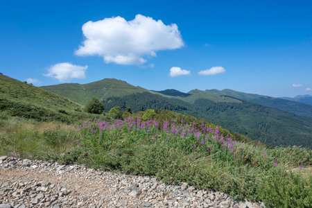 Summer view of Belasitsa Mountain around Kongur peak, Blagoevgrad Region, Bulgaria