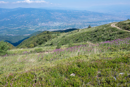 Summer view of Belasitsa Mountain around Kongur peak, Blagoevgrad Region, Bulgaria