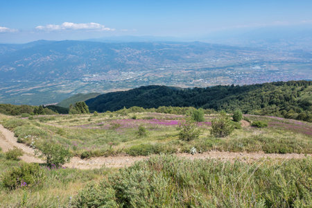 Summer view of Belasitsa Mountain around Kongur peak, Blagoevgrad Region, Bulgaria