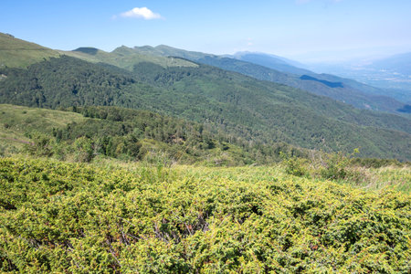 Summer view of Belasitsa Mountain around Kongur peak, Blagoevgrad Region, Bulgariaの写真素材