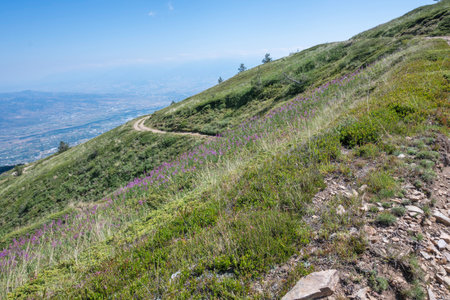 Summer view of Belasitsa Mountain around Kongur peak, Blagoevgrad Region, Bulgariaの写真素材