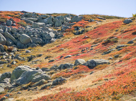 Amazing Autumn panorama of Vitosha Mountain near Cherni Vrah peak, Bulgariaの写真素材