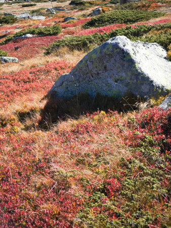 Amazing Autumn panorama of Vitosha Mountain near Cherni Vrah peak, Bulgariaの写真素材