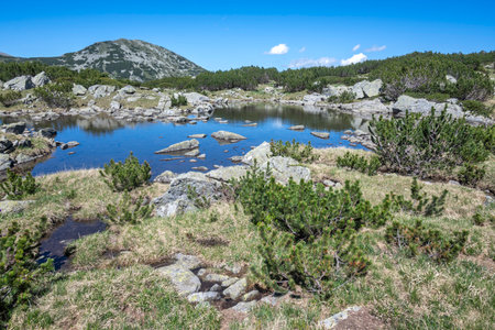 Amazing Summer Landscape of Rila mountain near The Dead and The Fish Lakes, Bulgariaの写真素材
