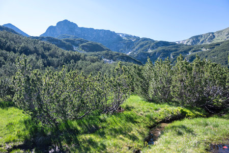 Amazing Summer Landscape of Rila mountain near The Dead and The Fish Lakes, Bulgariaの写真素材