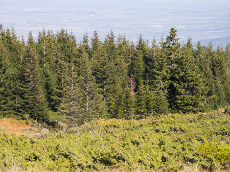 Amazing Autumn panorama of Vitosha Mountain, Bulgaria