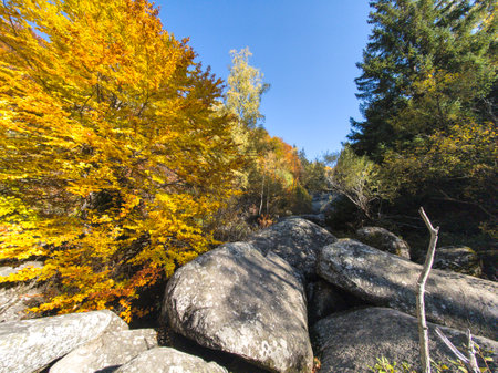Amazing Autumn panorama of Vitosha Mountain, Bulgariaの写真素材
