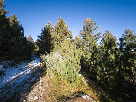 Amazing Autumn landscape of Rila Mountain near Mechit and Popova Kapa peaks, Bulgariaの写真素材