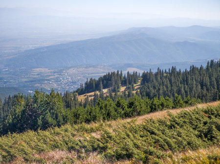 Amazing Autumn Landscape of Vitosha Mountain, Bulgariaの写真素材