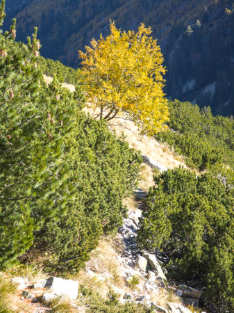Amazing Autumn Landscape of Rila Mountain near Malyovitsa peak, Bulgariaの写真素材