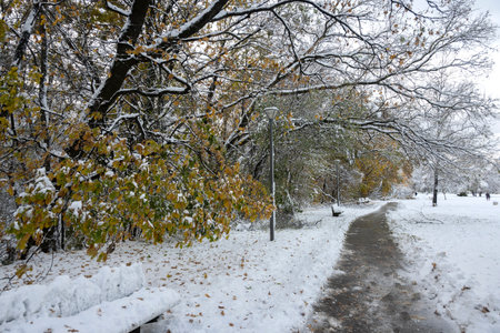 Amazing Winter Landscape of South Park in city of Sofia, Bulgariaの写真素材