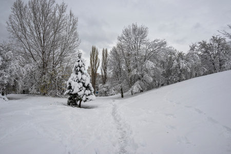 Amazing Winter Landscape of South Park in city of Sofia, Bulgariaの写真素材