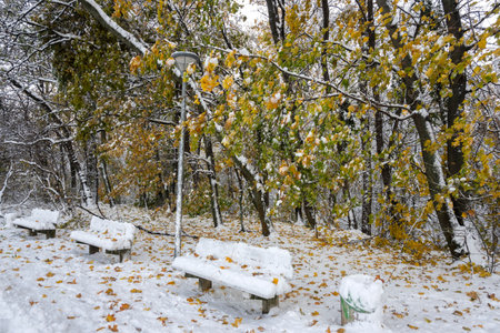 Amazing Winter Landscape of South Park in city of Sofia, Bulgariaの写真素材
