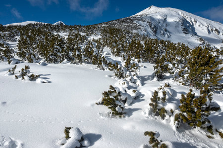 Amazing Winter view of Pirin Mountain near Polezhan and Bezbog Peaks, Bulgariaの写真素材