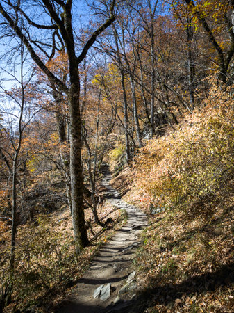 Amazing Autumn landscape of Rila Mountain, Bulgaria