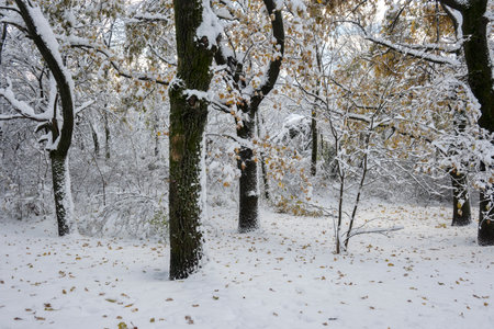 Amazing Winter Panorama in city of Sofia, Bulgaria