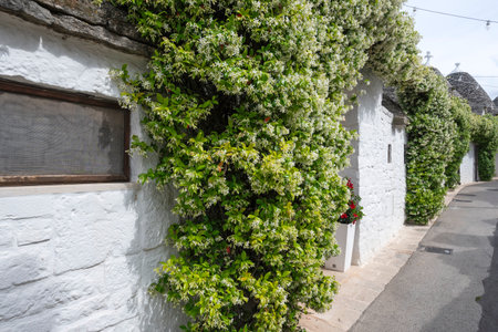 Amazing view of The Old town of Alberobello, Apulia Region, Italyの写真素材