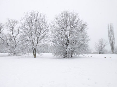 Amazing Winter Landscape in city of Sofia, Bulgariaの写真素材