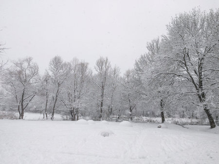 Amazing Winter Landscape of South Park in city of Sofia, Bulgariaの写真素材