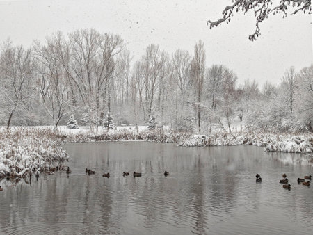 Amazing Winter Landscape of South Park in city of Sofia, Bulgariaの写真素材
