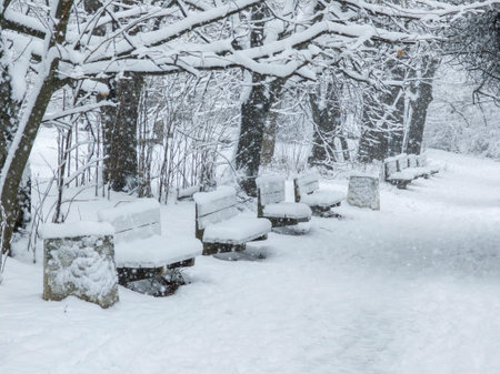 Amazing Winter Landscape of South Park in city of Sofia, Bulgariaの写真素材