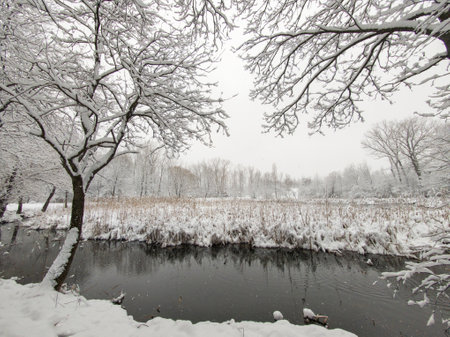 Amazing Winter Landscape of South Park in city of Sofia, Bulgariaの写真素材
