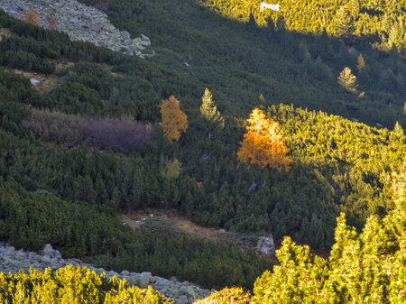 Amazing Autumn Landscape of Rila Mountain near Malyovitsa peak, Bulgariaの写真素材