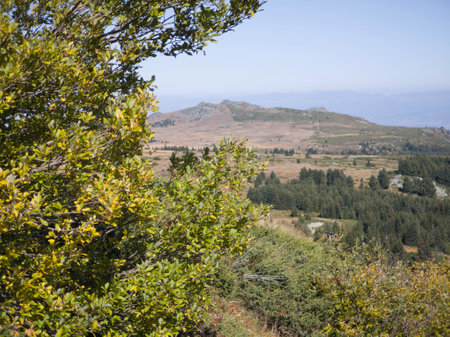 Amazing Autumn panorama of Vitosha Mountain, Bulgariaの写真素材