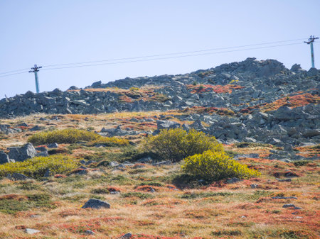 Amazing Autumn landscape of Vitosha Mountain, Bulgariaの写真素材