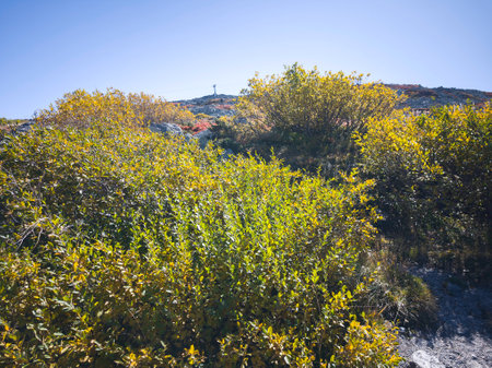 Amazing Autumn panorama of Vitosha Mountain near Cherni Vrah peak, Bulgariaの写真素材