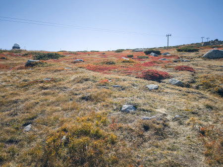 Amazing Autumn panorama of Vitosha Mountain near Cherni Vrah peak, Bulgariaの写真素材