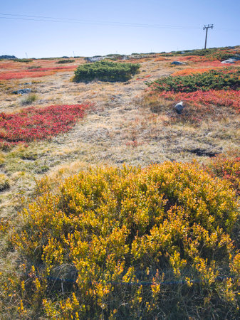 Amazing Autumn panorama of Vitosha Mountain near Cherni Vrah peak, Bulgariaの写真素材