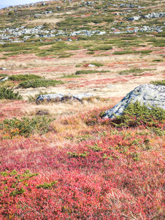 Amazing Autumn panorama of Vitosha Mountain near Cherni Vrah peak, Bulgariaの写真素材