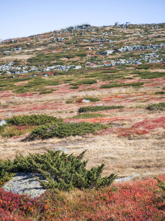 Amazing Autumn panorama of Vitosha Mountain near Cherni Vrah peak, Bulgariaの写真素材