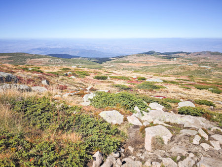 Amazing Autumn panorama of Vitosha Mountain near Cherni Vrah peak, Bulgariaの写真素材
